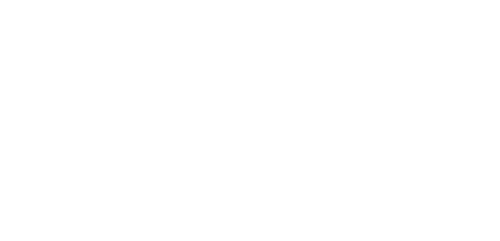 Disability Confident