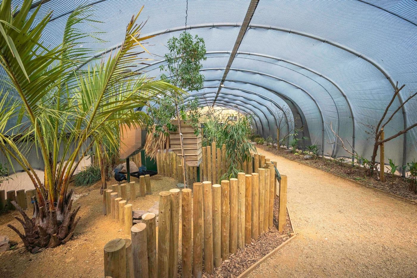 The interior of a large polytunnel with greenery
